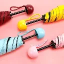 capsule5.webp