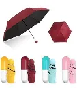 capsule1.webp
