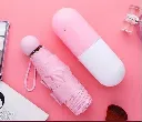 capsule4.webp