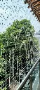 abn4.webp