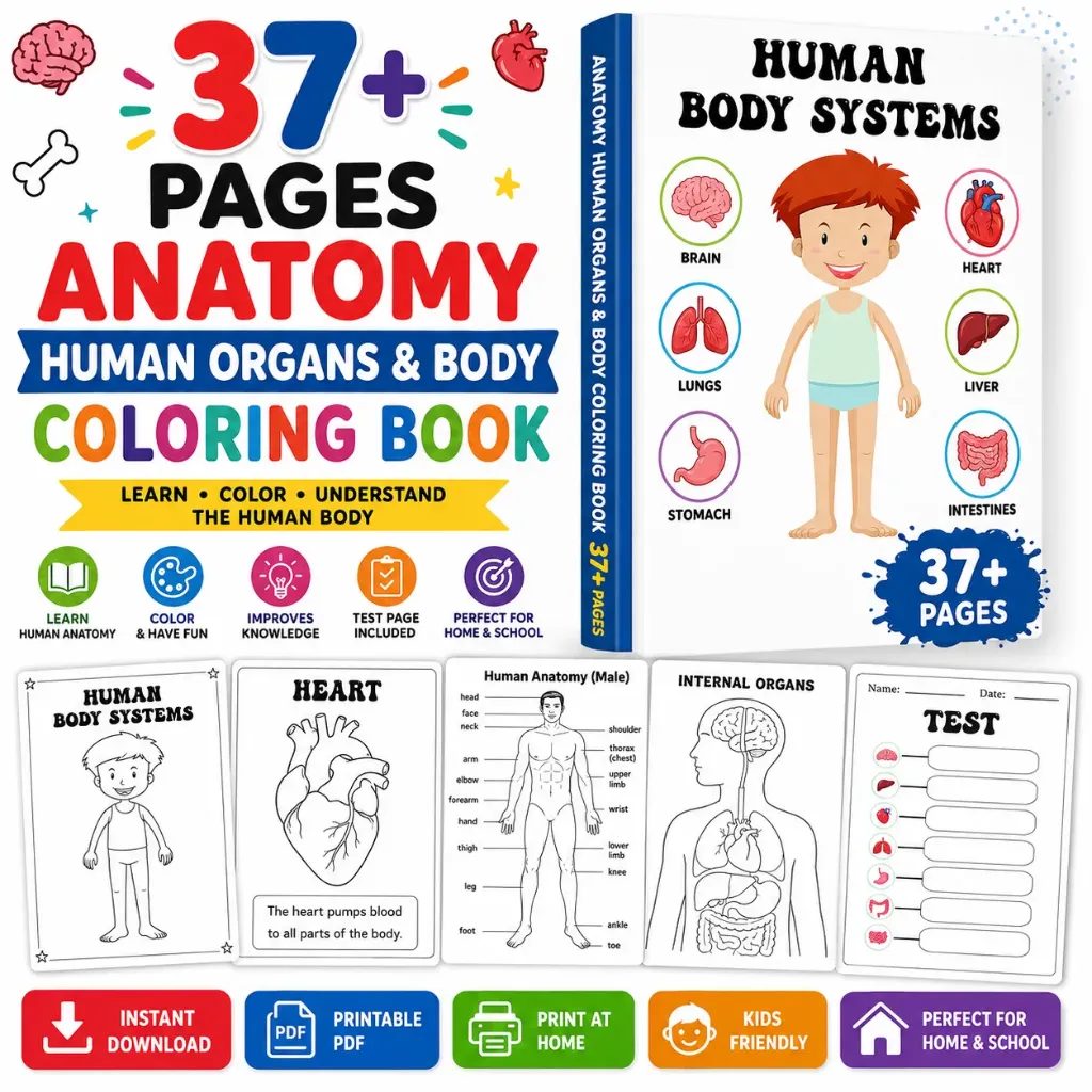 37+ Pages Anatomy Human Organs & Body Coloring Book