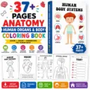 37+ Pages Anatomy Human Organs & Body Coloring Book